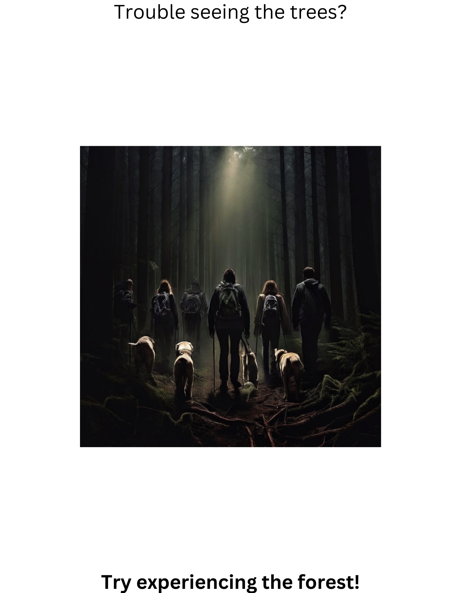 A group of diverse people use canes and dog guides to navigate a dense forest as a beam of light shines dow on them. Above the image is the text "Trouble seeing the trees?" and below the image is the text, "Try experiencing the forest!" The Text at the bottom of the image is in 