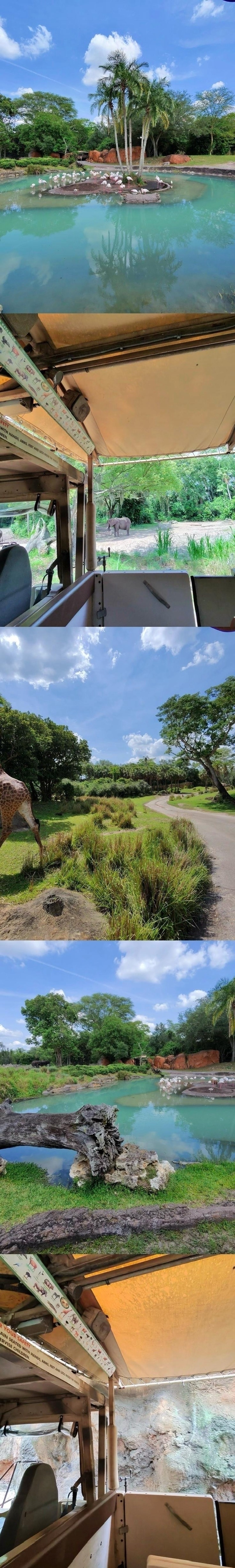 A vertical collage of five safari scenes. From top to bottom: a turquoise lagoon with flamingos and a baobab tree in the background; a giraffe grazing beside a curving dirt path under a blue sky; a view from a safari vehicle showing giraffes and wildebeest across a wide savannah; an island of flamingos surrounded by palm trees reflecting in calm water; and a close-up of two elephants framed by the open side of a safari vehicle.
